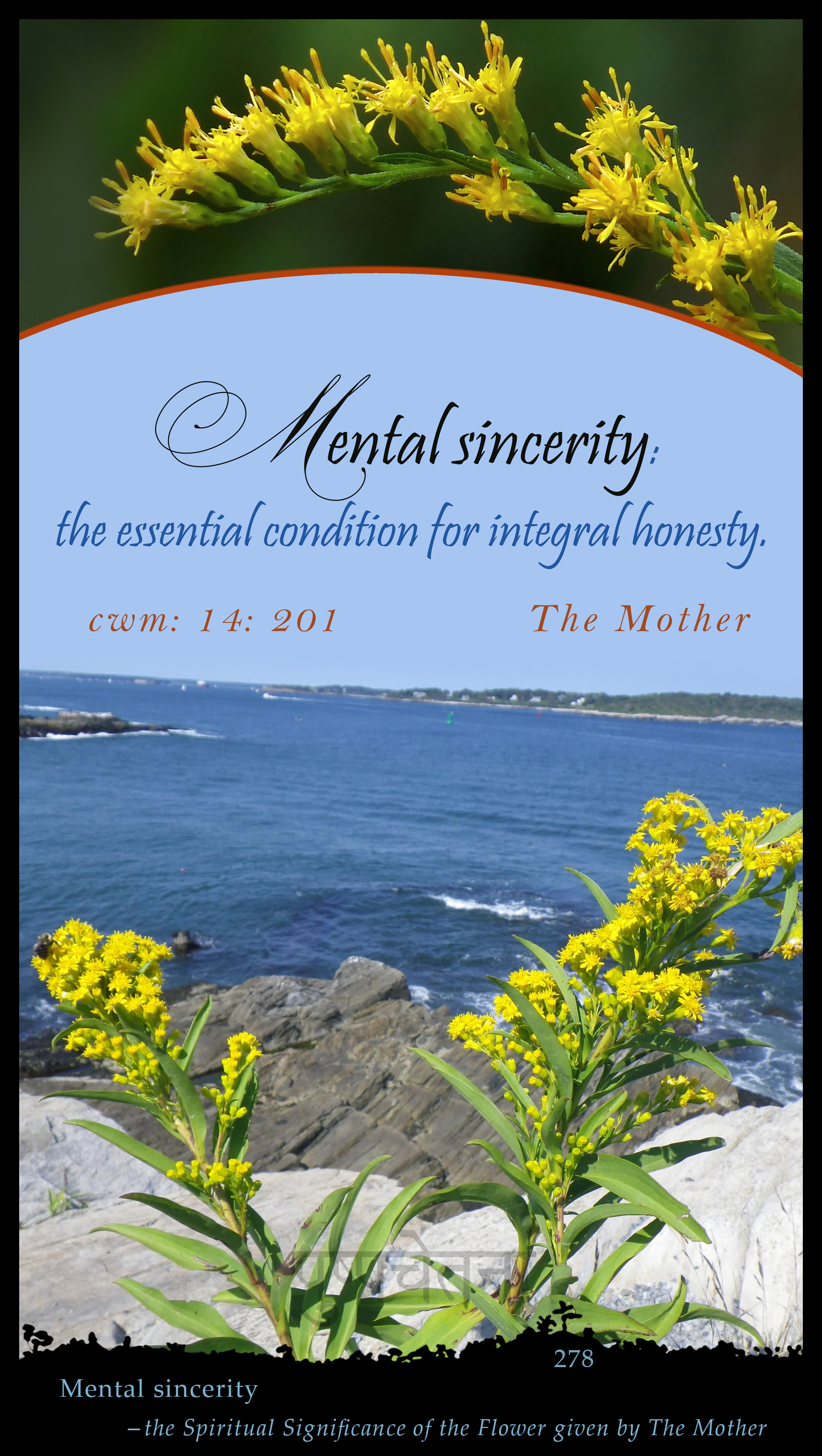 Mental Sincerity